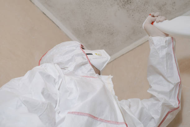 Mold Removal and Inspection in University Park, TX