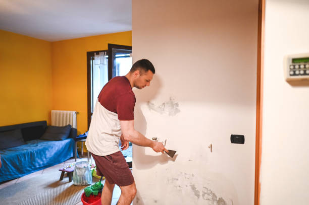  University Park, TX Mold Removal Pros