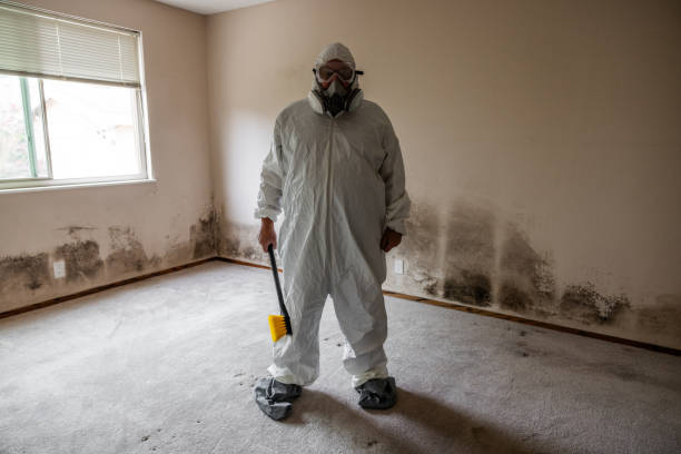 Office Mold Removal Services in University Park, TX